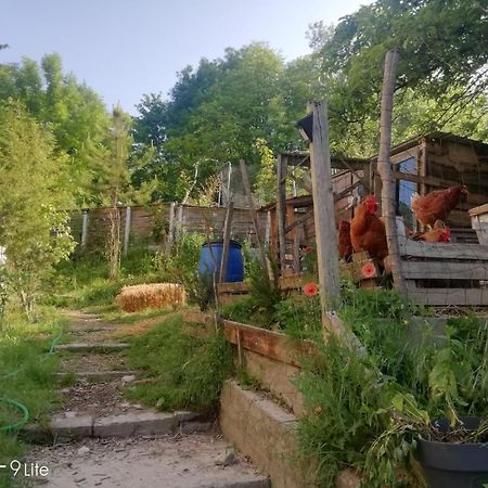 La Cabane Des Trappeurs Crepy-en-Valois Luaran gambar