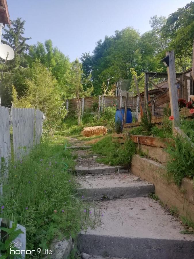 La Cabane Des Trappeurs Crepy-en-Valois Luaran gambar